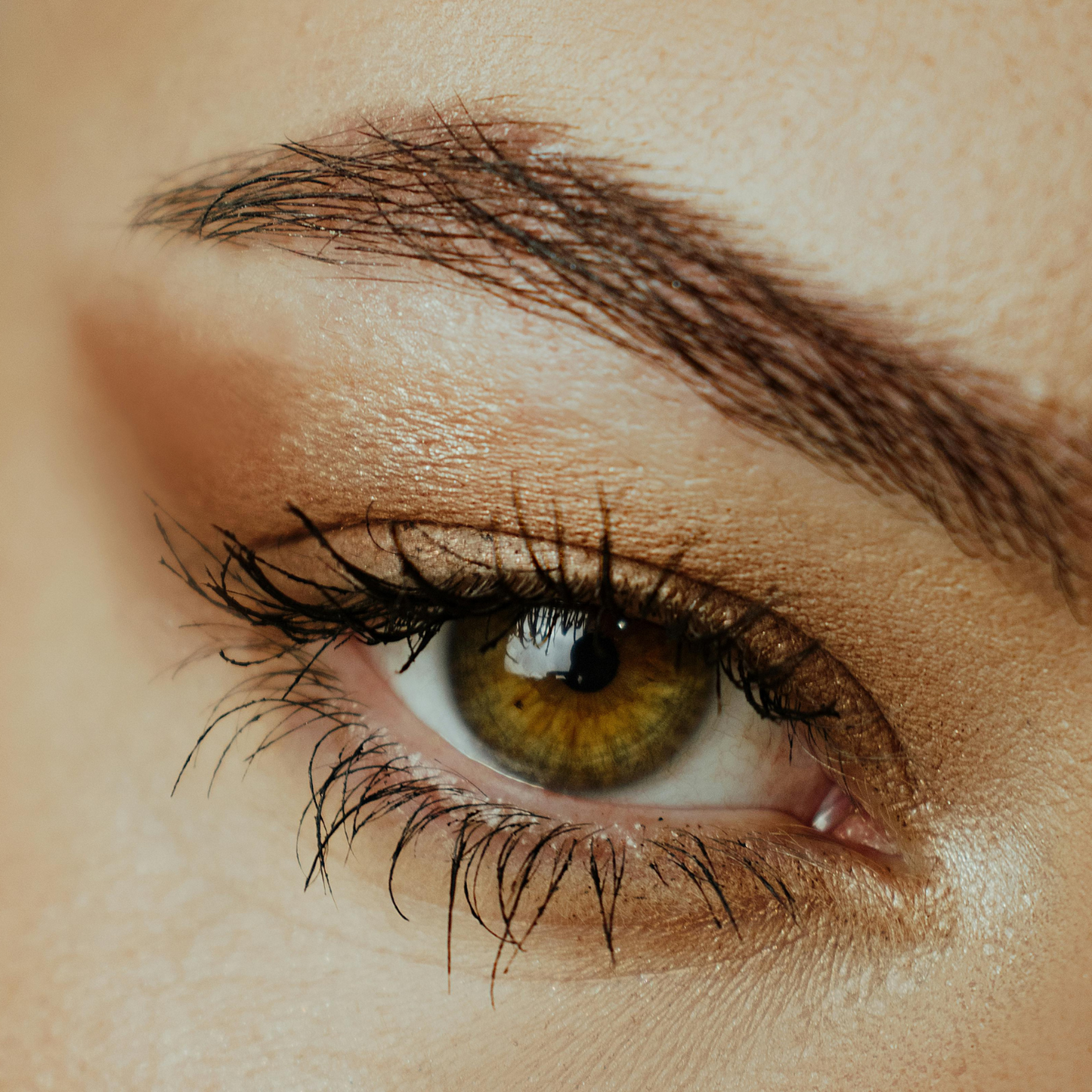 Eyebrows